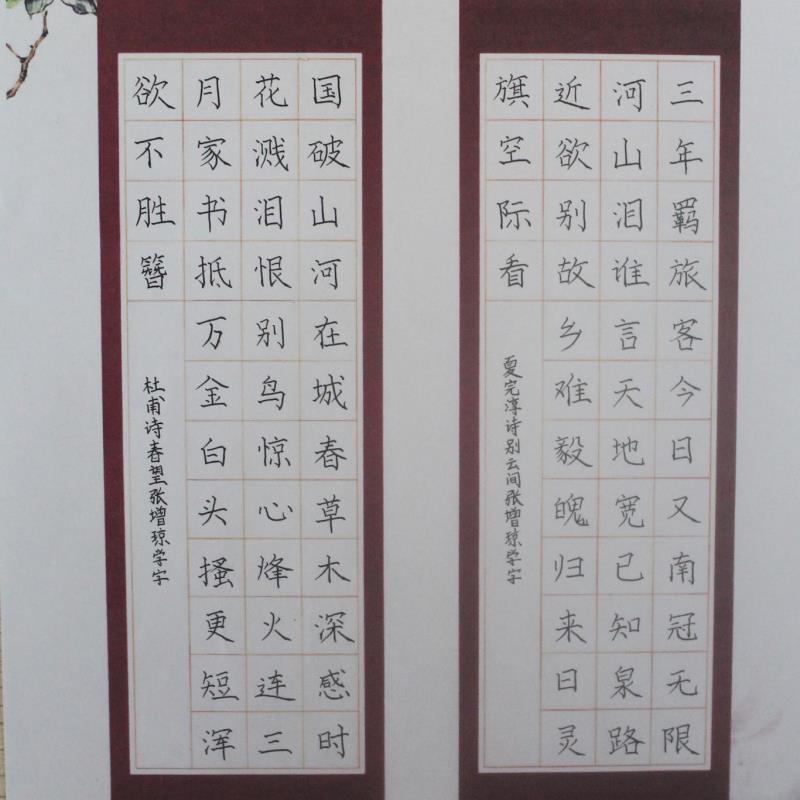 梅州 梅州市丰顺县埔寨镇中心小学 硬笔小学 张增琼