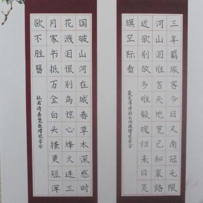 梅州 梅州市丰顺县埔寨镇中心小学 硬笔小学 张增琼