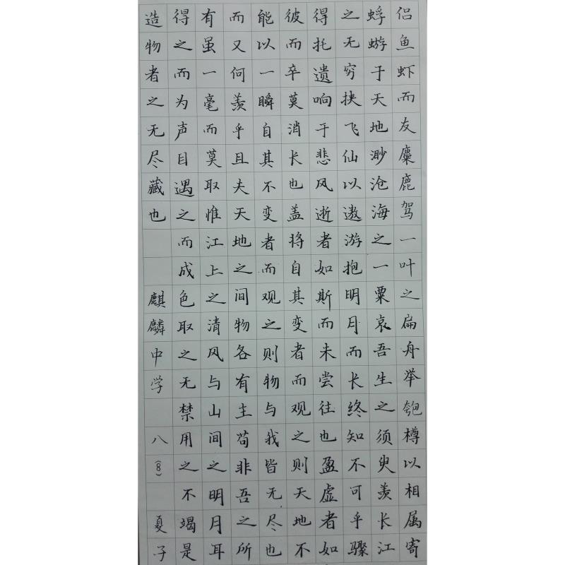深圳 深圳南山实验麒麟中学 硬笔中学组 夏子