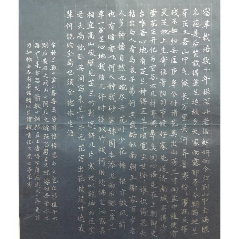 珠海 珠海市第一中学 硬笔中学组 范文亭