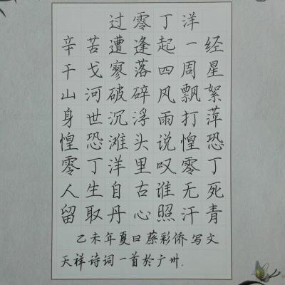 广州 广东省经济贸易职业技术学校 硬笔中学组 蔡彩侨