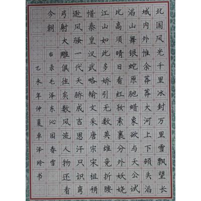 中山 中山市神湾中心小学 硬笔教师组 卓泽玲