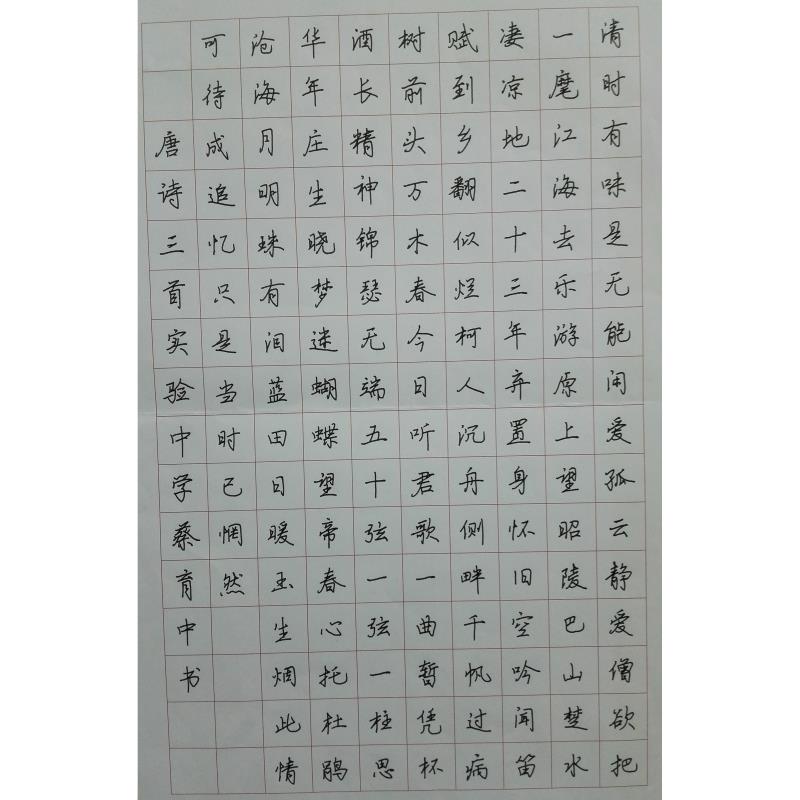 汕尾 汕尾市实验初级中学 硬笔中学组 蔡育中