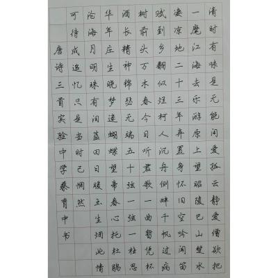 汕尾 汕尾市实验初级中学 硬笔中学组 蔡育中