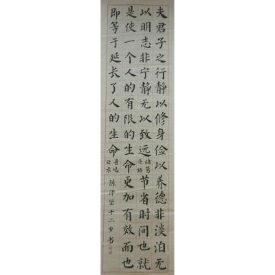 汕头 汕头市龙湖区谢易初中学 软笔中学组 陈泽坚