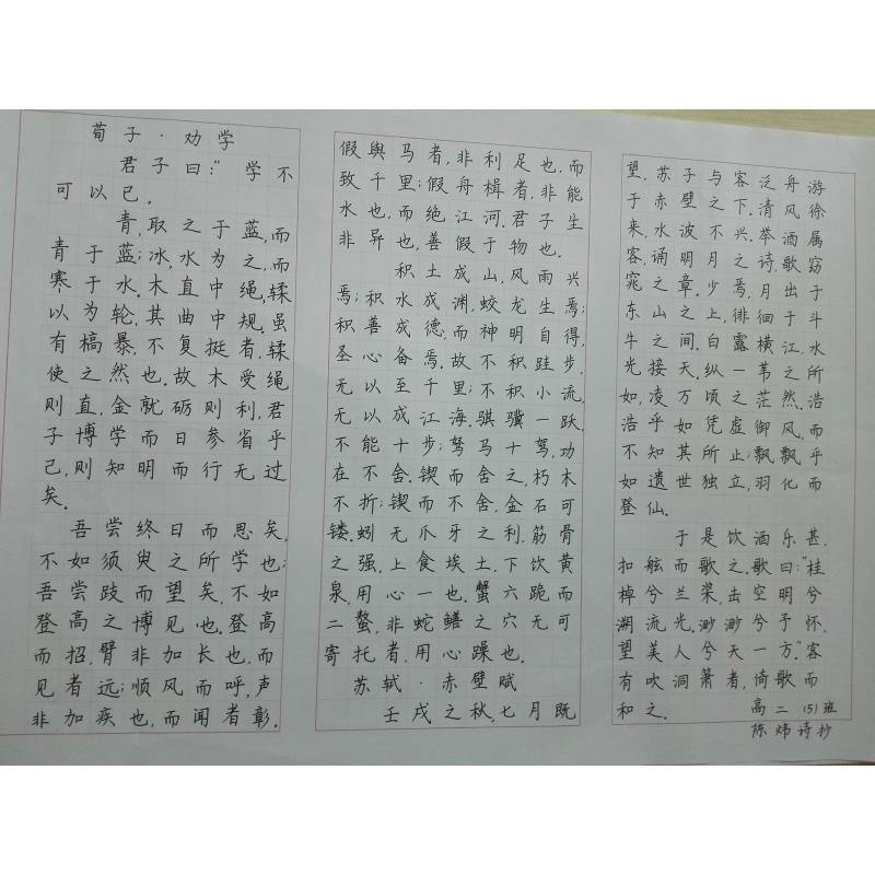 佛山 三水华侨中学 硬笔中学组 陈炜诗