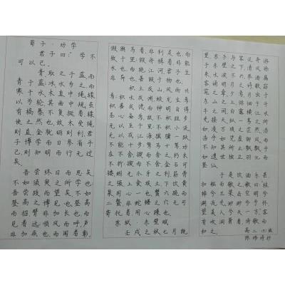 佛山 三水华侨中学 硬笔中学组 陈炜诗