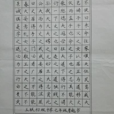 揭阳 揭东区玉湖镇玉联初级中学 硬笔中学组 曹越
