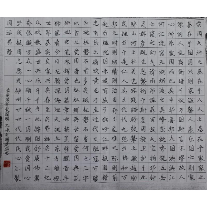 揭阳 揭东区第九小学 硬笔教师组 谢建华
