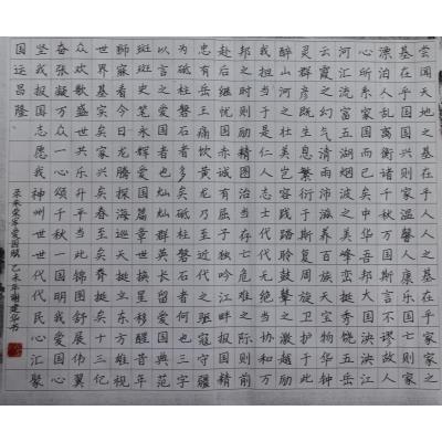 揭阳 揭东区第九小学 硬笔教师组 谢建华