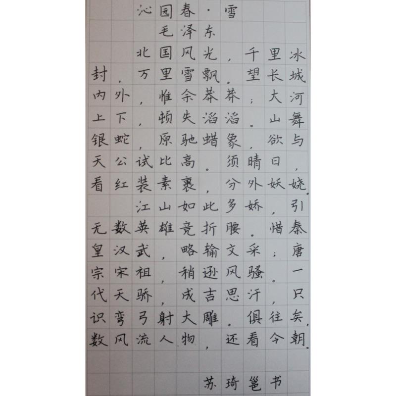 江门 江门市紫茶小学 硬笔小学组 苏琦邕