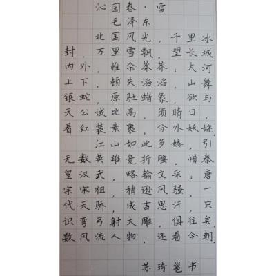 江门 江门市紫茶小学 硬笔小学组 苏琦邕