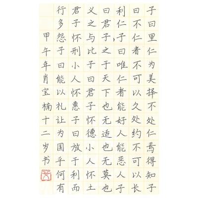 深圳 深圳市宝安区上合小学 硬笔小学组 肖宝楠