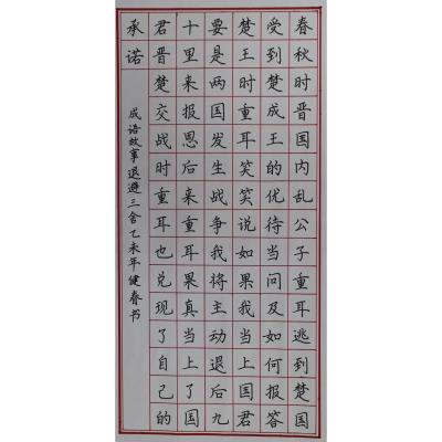清远 清远市佛冈县城东中学 硬笔教师组 朱健春