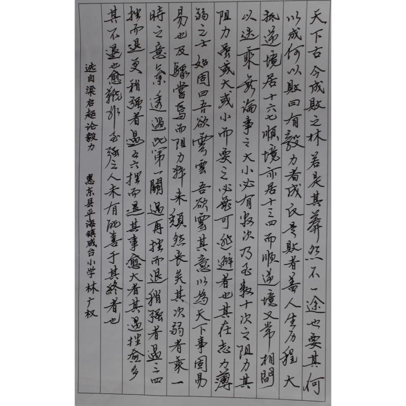 惠州 惠东县平海咸台小学 硬笔教师组 林广权