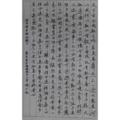 惠州 惠东县平海咸台小学 硬笔教师组 林广权