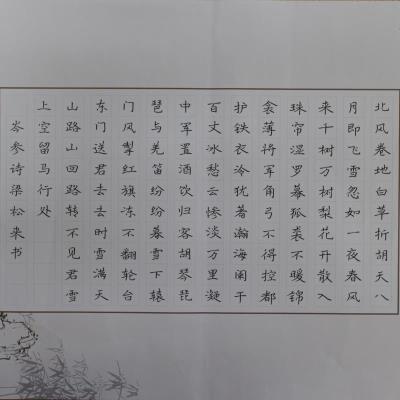佛山 佛山市南海区大沥镇盐步中心小学 硬笔教师组 梁松来