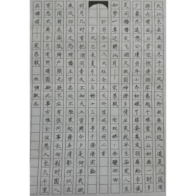 汕头 澄海实验学校 硬笔中学组 王与畅