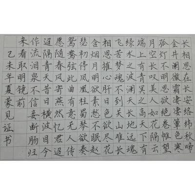 中山 中山市板芙镇芙蓉学校 硬笔中学组 蒙见证