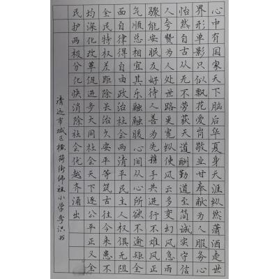 清远 清远市清城区横荷街佛祖小学 硬笔教师组 李洪
