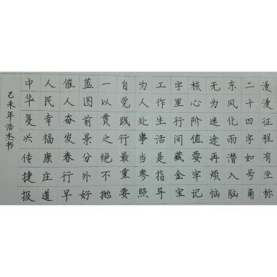 中山 中山桂山中学 硬笔中学组 蔡浩杰