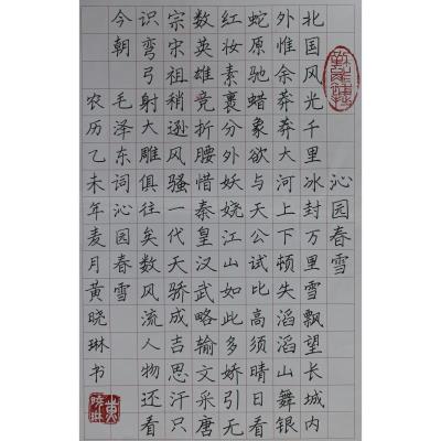 揭阳 榕城区实验学校 硬笔教师组 黄晓琳
