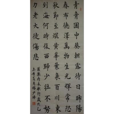 汕尾 陆丰市潭西中学 软笔教师组 林少冰