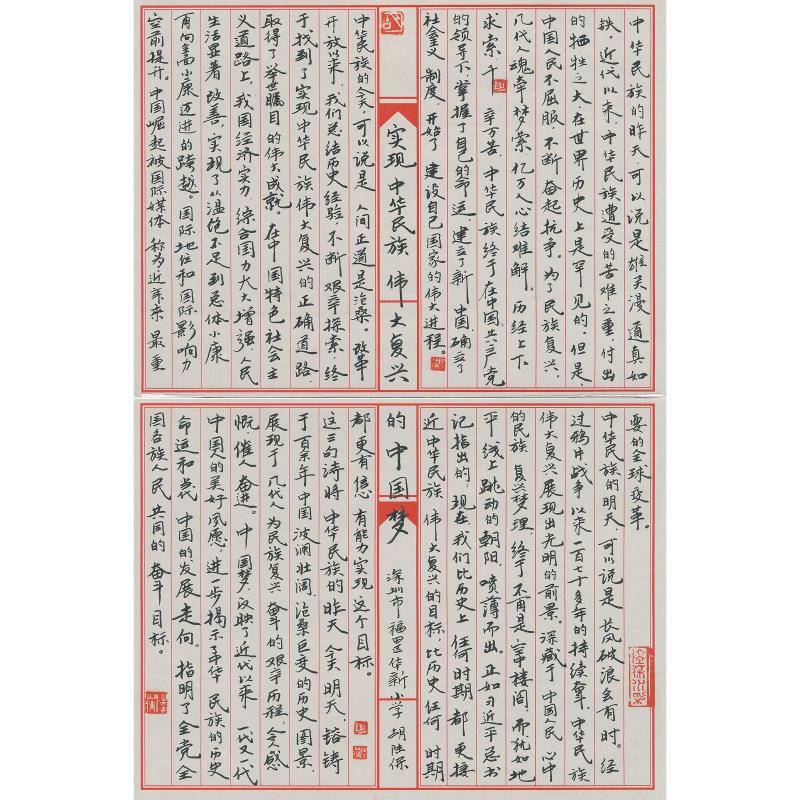 深圳 深圳市福田区华新小学 硬笔教师组 胡陆保