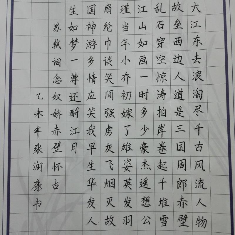 河源 龙川县田家炳中学 硬笔中学组 张润康