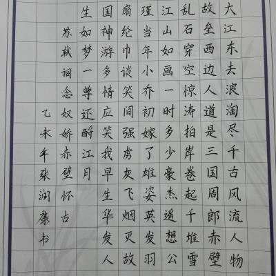 河源 龙川县田家炳中学 硬笔中学组 张润康
