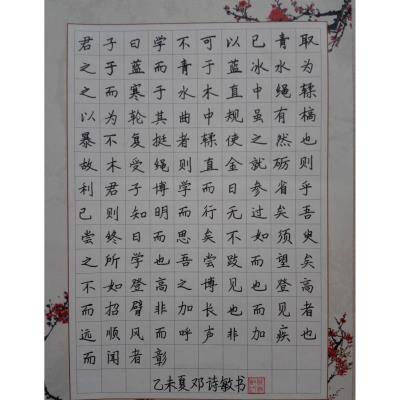 广州 番禺区新造职业技术学校 硬笔中学组 邓诗敏