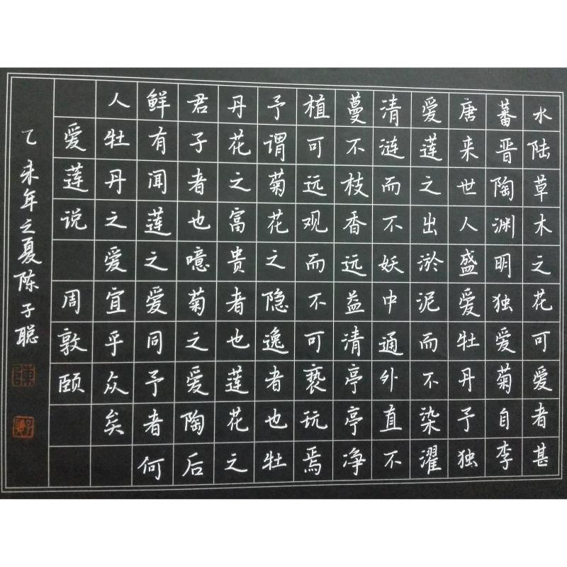 深圳 深圳市定案实验学校 硬笔中学组 陈子聪