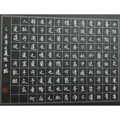 深圳 深圳市定案实验学校 硬笔中学组 陈子聪