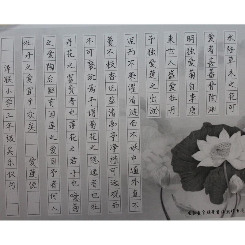 揭阳 揭东区玉湖镇玉联初级中学 硬笔小学组 吴乐仪