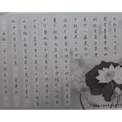 揭阳 揭东区玉湖镇玉联初级中学 硬笔小学组 吴乐仪