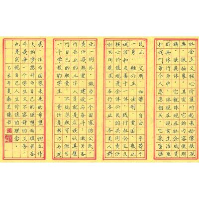 东莞 东莞市石排中学 硬笔中学组 秦至臻