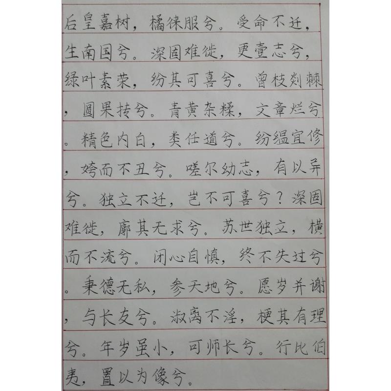 清远 清远市佛冈县第一中学 硬笔中学组 曾晶