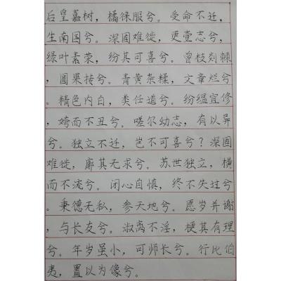 清远 清远市佛冈县第一中学 硬笔中学组 曾晶
