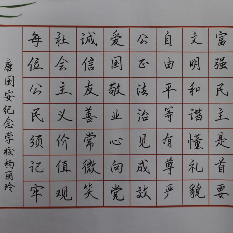 珠海 唐国安纪念中学 硬笔教师组 杨丽玲