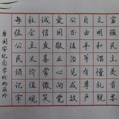 珠海 唐国安纪念中学 硬笔教师组 杨丽玲