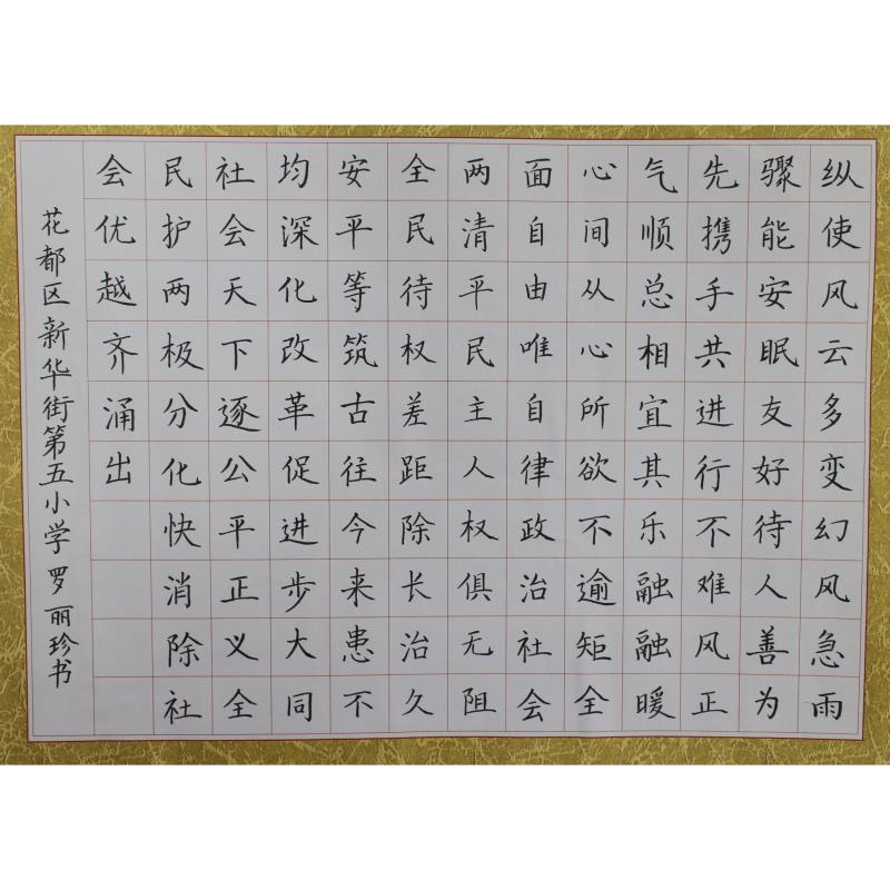广州 广州市花都区新华街第五小学 硬笔教师组 罗丽珍
