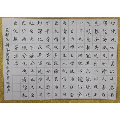广州 广州市花都区新华街第五小学 硬笔教师组 罗丽珍