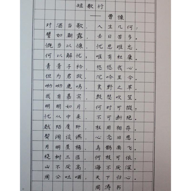 江门 蓬江区北郊中心小学 硬笔小学组 周涛