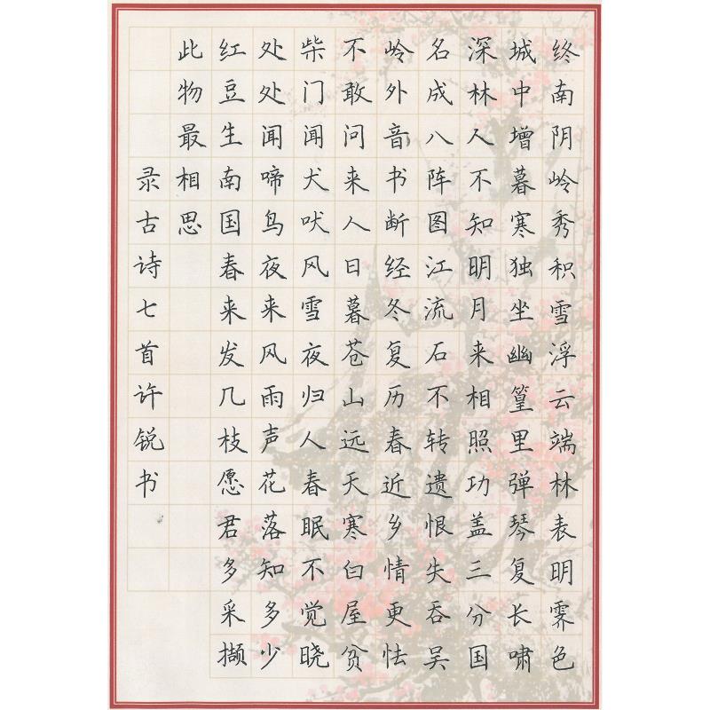 揭阳 普宁市普宁二中实验学校 硬笔中学组 许锐