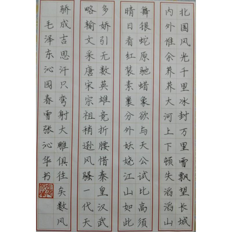 汕头 汕头市澄海区沧海中学 硬笔中学组 张沁华