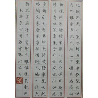 汕头 汕头市澄海区沧海中学 硬笔中学组 张沁华